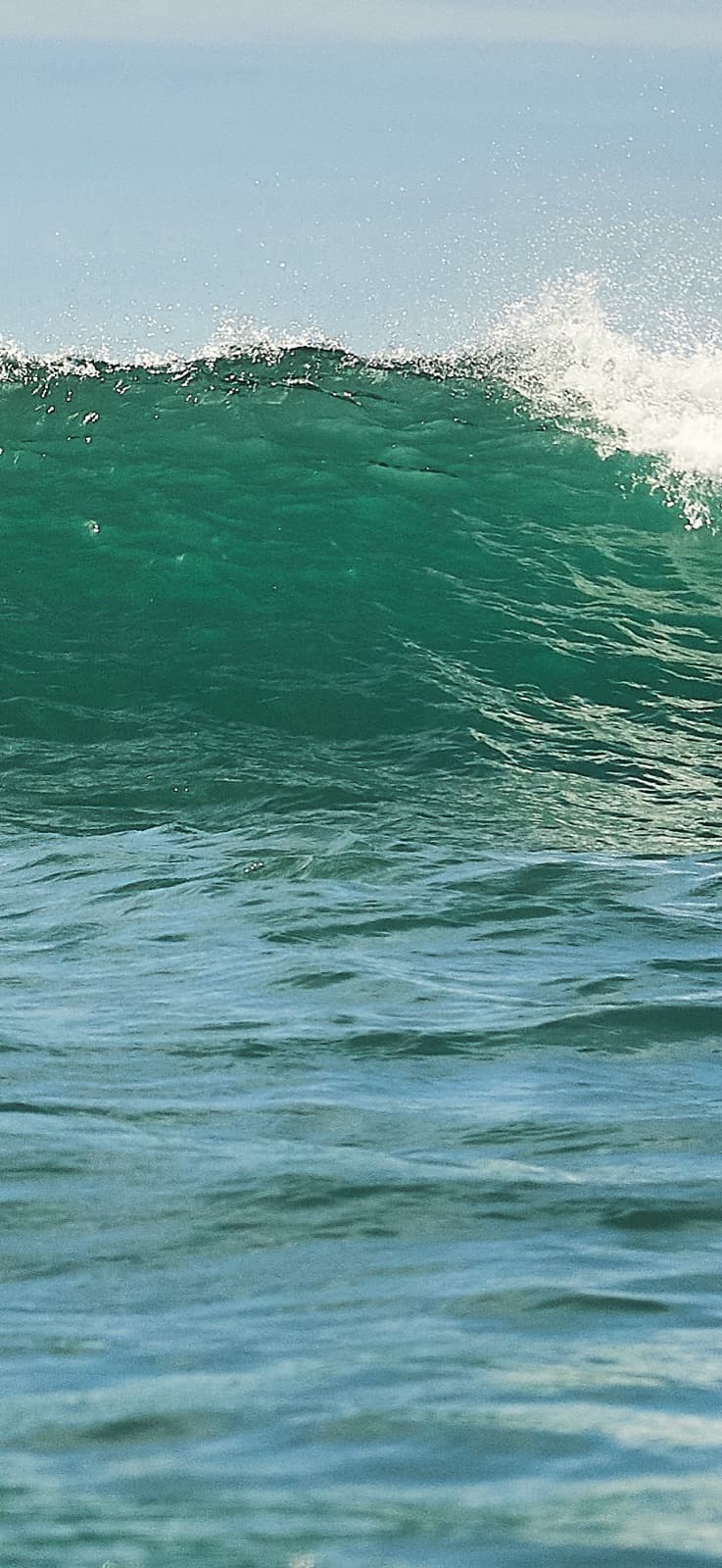 Green waves of Weligama Bay